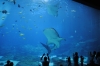 Atlanta Todd _06_28_2014_3057