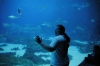 Atlanta Todd _06_28_2014_3062