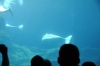 Atlanta Todd _06_28_2014_3100