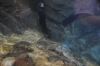 Atlanta Todd _06_28_2014_3125