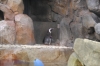 Atlanta Todd _06_28_2014_3145