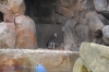 Atlanta Todd _06_28_2014_3146