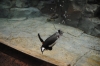 Atlanta Todd _06_28_2014_3147