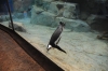 Atlanta Todd _06_28_2014_3149