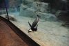 Atlanta Todd _06_28_2014_3150
