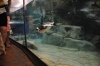 Atlanta Todd _06_28_2014_3154