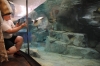 Atlanta Todd _06_28_2014_3156