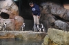 Atlanta Todd _06_28_2014_3157