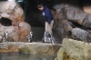 Atlanta Todd _06_28_2014_3158