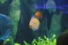 Atlanta Todd _06_28_2014_3215