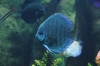 Atlanta Todd _06_28_2014_3225