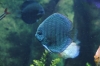 Atlanta Todd _06_28_2014_3226