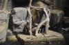 Atlanta Todd _06_28_2014_3257
