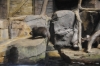 Atlanta Todd _06_28_2014_3260