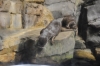 Atlanta Todd _06_28_2014_3263