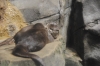 Atlanta Todd _06_28_2014_3265