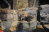 Atlanta Todd _06_28_2014_3267