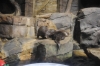 Atlanta Todd _06_28_2014_3269