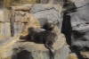 Atlanta Todd _06_28_2014_3274