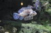 Atlanta Todd _06_28_2014_3276